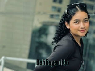 Dahliagarrido