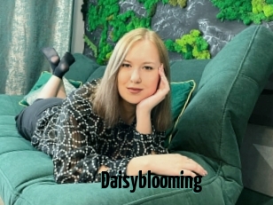 Daisyblooming
