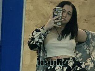 Daisybulkley