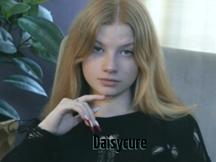 Daisycure