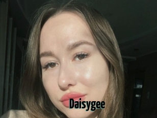 Daisygee