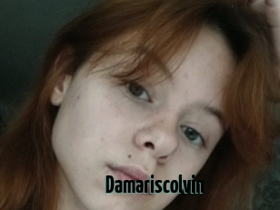 Damariscolvin
