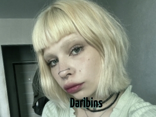 Daribins