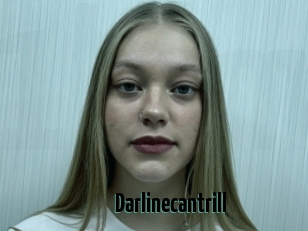 Darlinecantrill