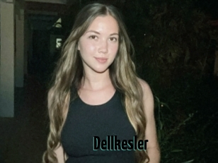 Dellkesler