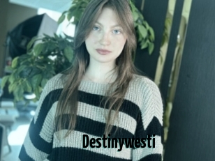 Destinywesti