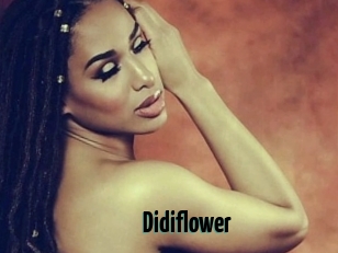 Didiflower