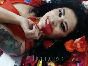 Dovemorrison
