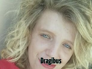 Dragibus