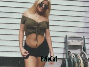 EvieCat
