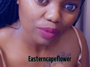 Easterncapeflower