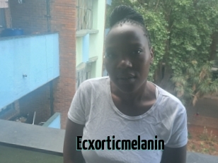 Ecxorticmelanin