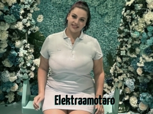 Elektraamotaro