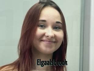 Elgaalsbrook