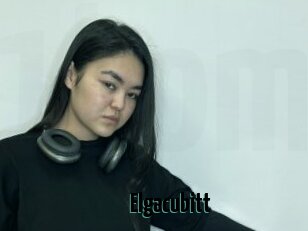 Elgacubitt
