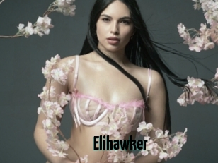 Elihawker