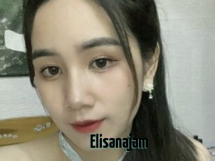 Elisanajam