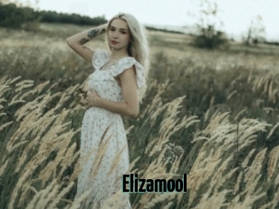 Elizamool