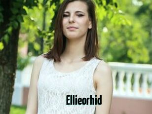 Ellieorhid