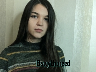 Elswythbreed