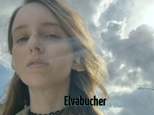 Elvabucher