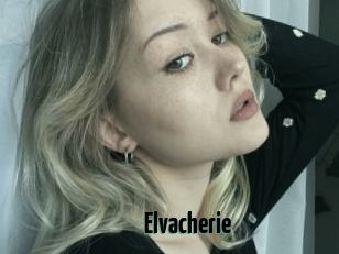 Elvacherie