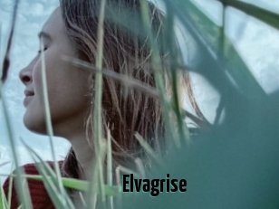 Elvagrise