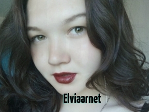 Elviaarnet