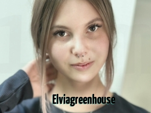 Elviagreenhouse