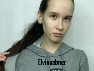 Elvinaabner