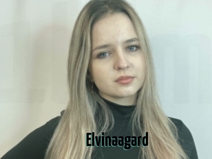 Elvinaagard