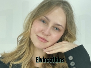 Elvinaatkins