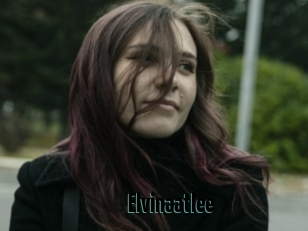 Elvinaatlee