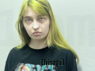Elvinagail