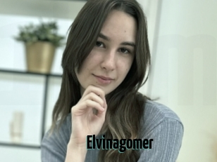 Elvinagomer