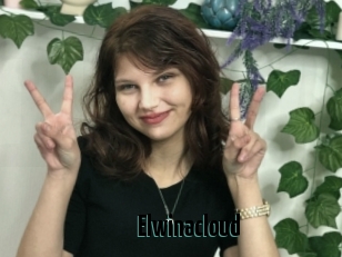 Elwinacloud