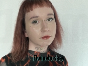 Elwinebuskey