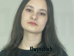 Elwynabach