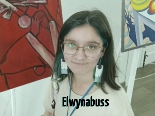 Elwynabuss