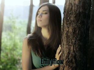Emilyflow