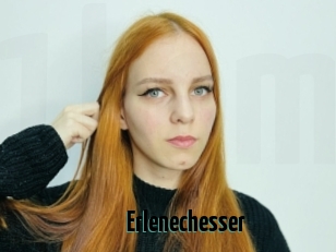 Erlenechesser