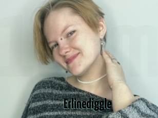 Erlinediggle