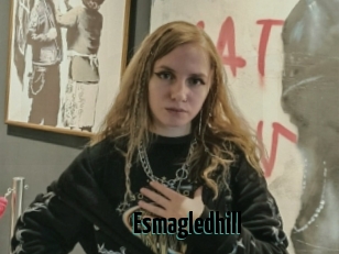 Esmagledhill