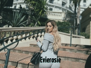 Evierosie