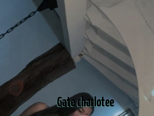 Gate_charlotee