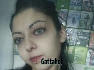 Gattahot