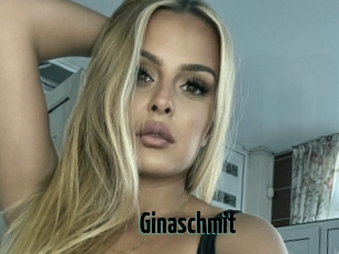 Ginaschmit