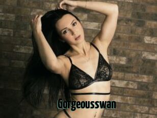 Gorgeousswan