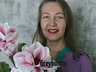 Greybunny