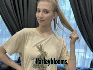 Harleyblooms